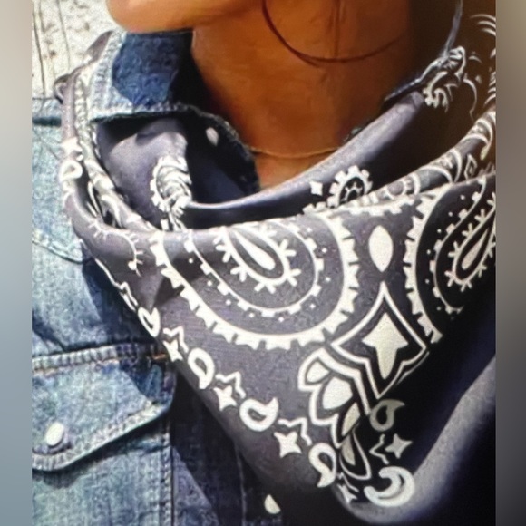 Women Paisley Scarf - Picture 4 of 7